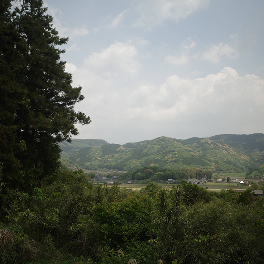 木々の間から見える山と集落