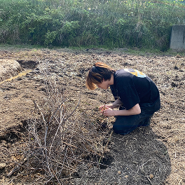 畑でしゃがみ、草に手を伸ばす人
